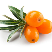 Superfruit Facial Elixir